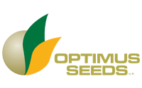 Optimus Seeds